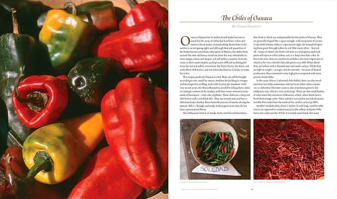 Oaxaca al Gusto: An Infinite Gastronomy