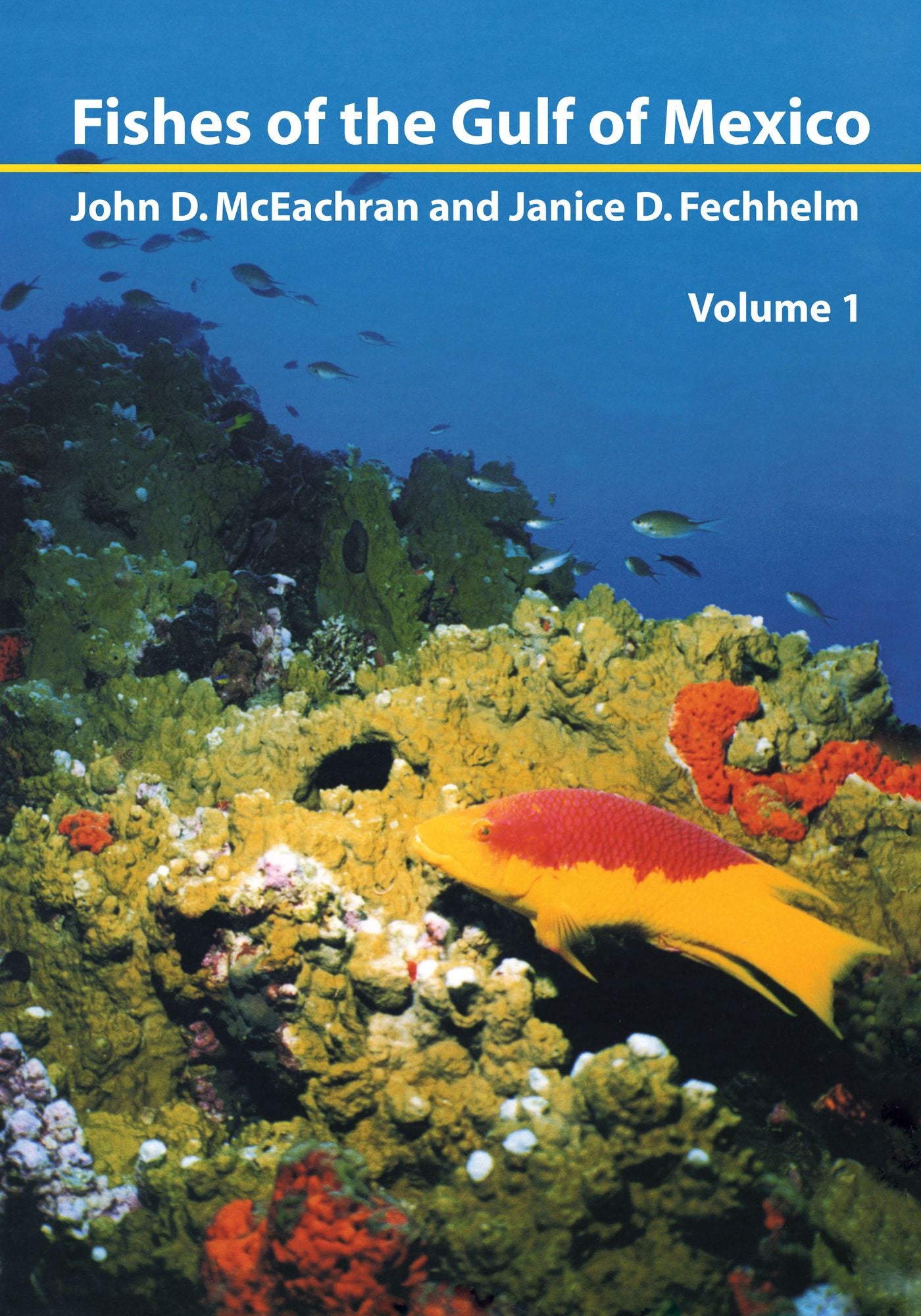 Myxiniformes to Gasterosteiformes: Fishes of The Gulf of Mexico