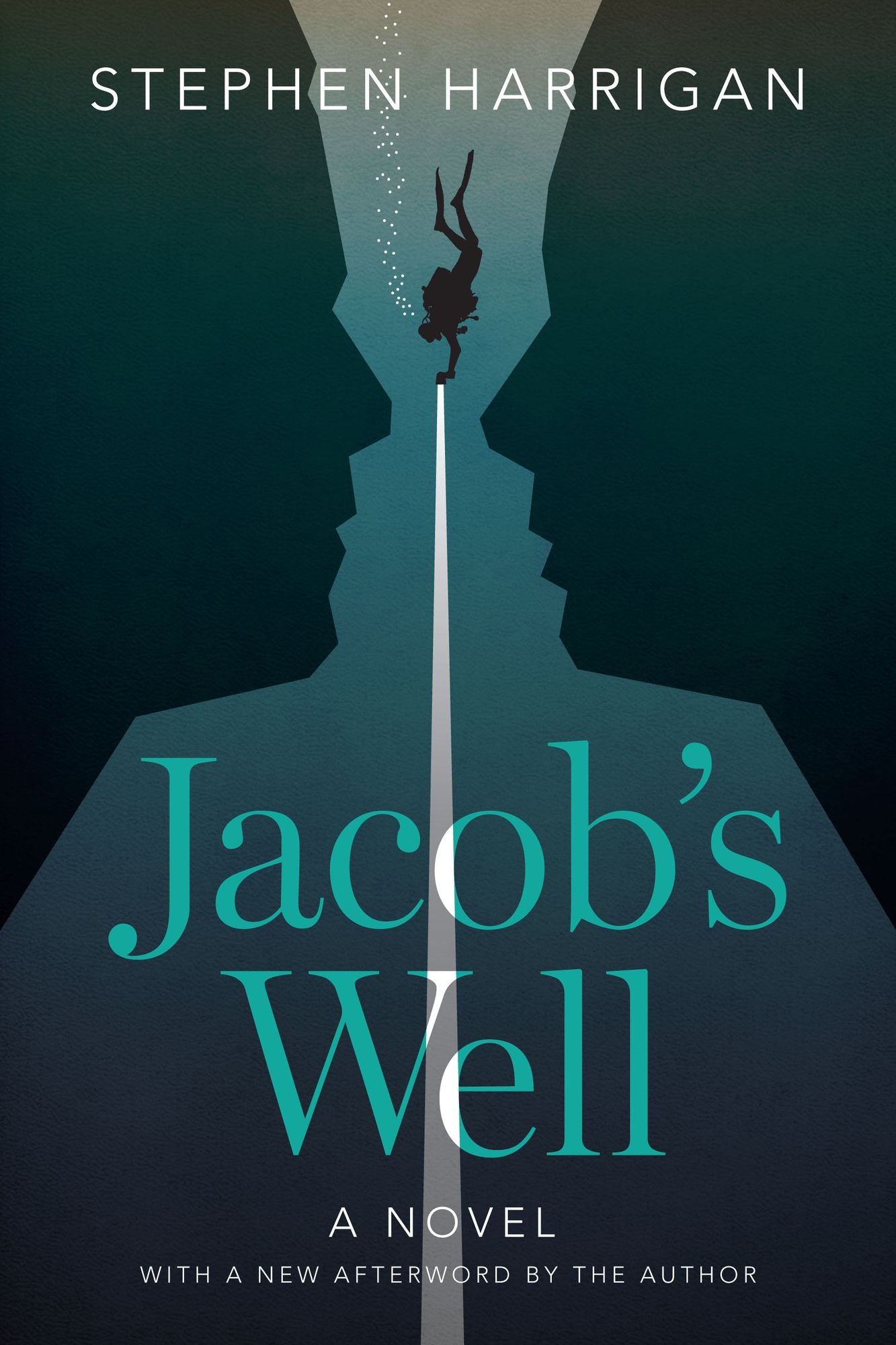 Jacob's Well: A Novel