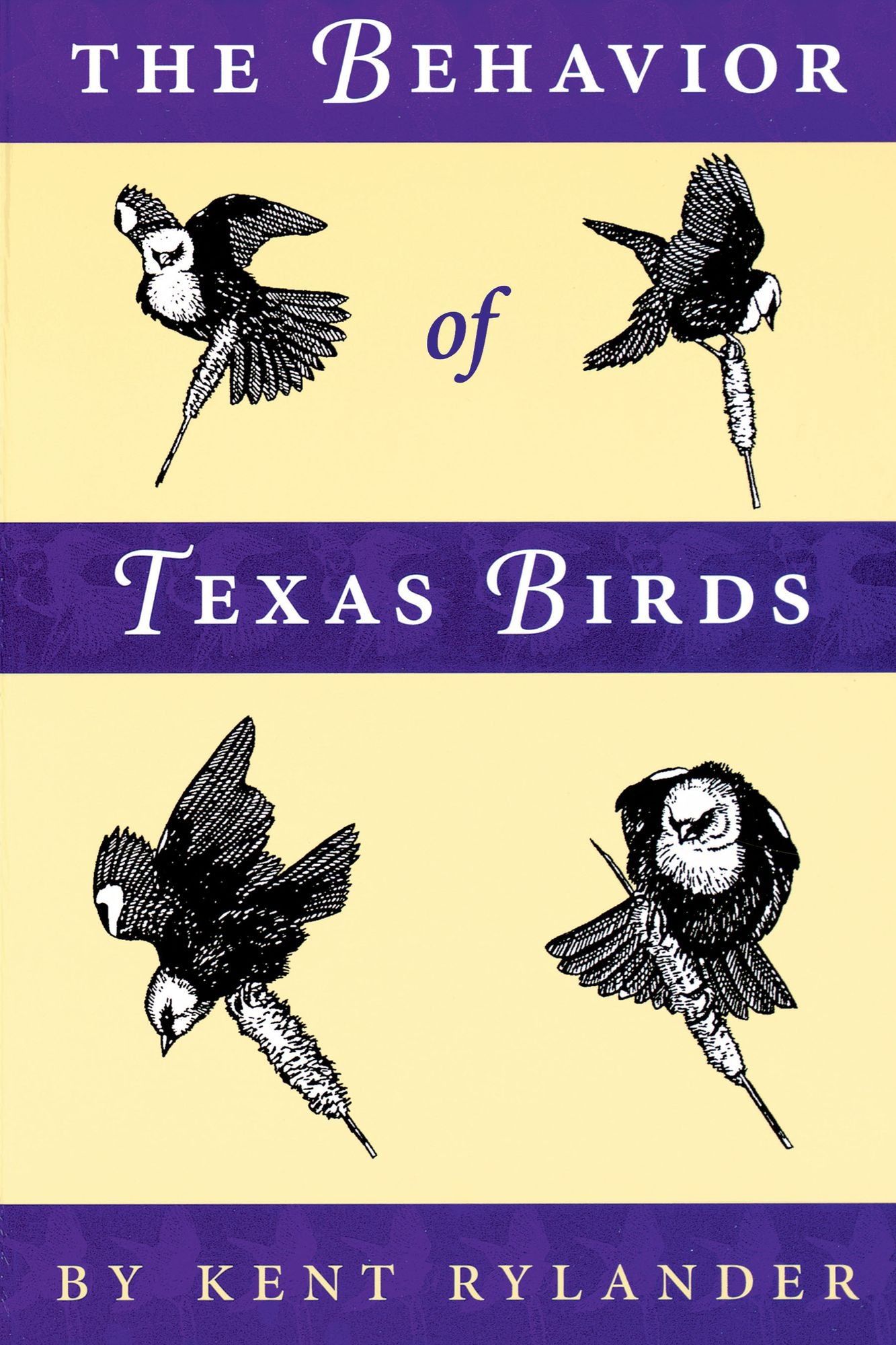 The Behavior of Texas Birds