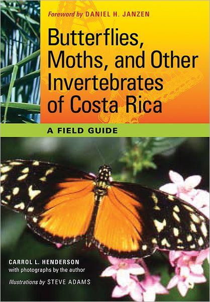 Butterflies, Moths, and Other Invertebrates of Costa Rica: A Field Guide