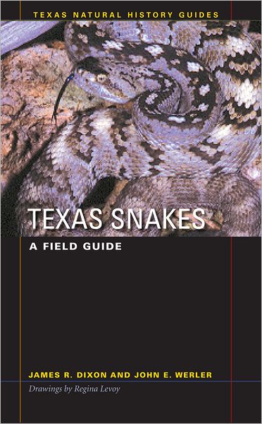 Texas Snakes: A Field Guide