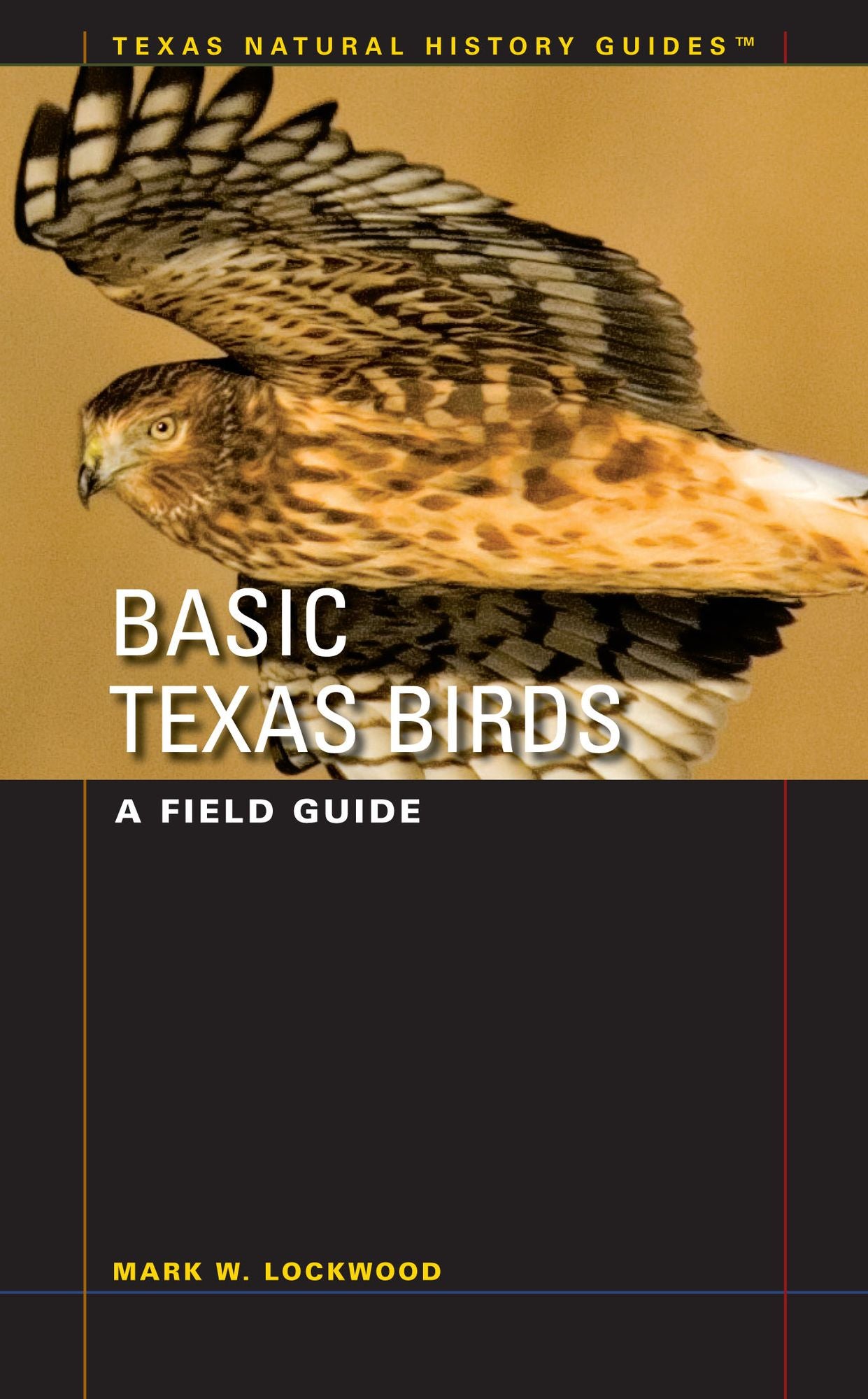 Basic Texas Birds: A Field Guide