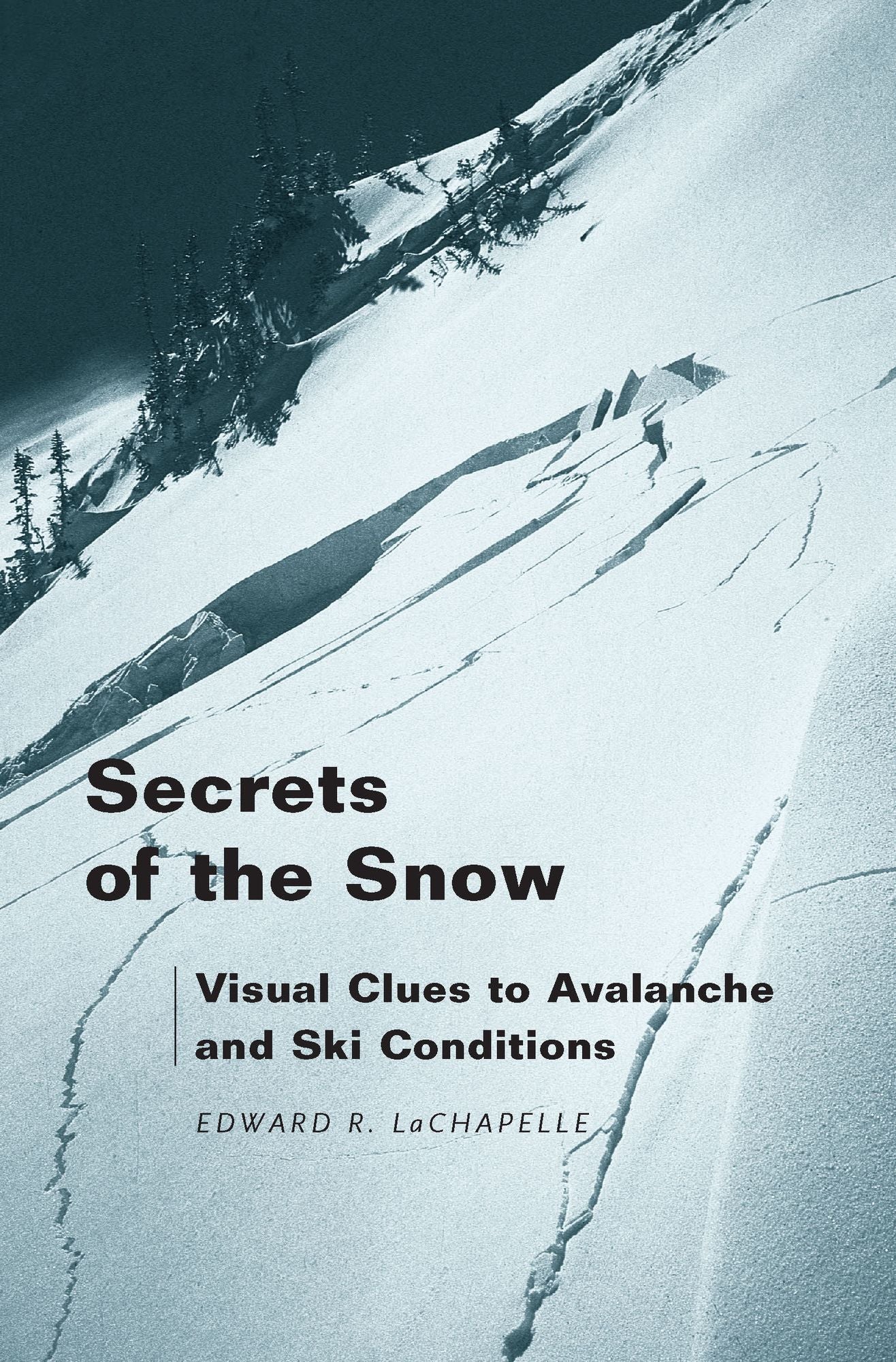 Secrets of the Snow: Visual Clues to Avalanche and Ski Conditions