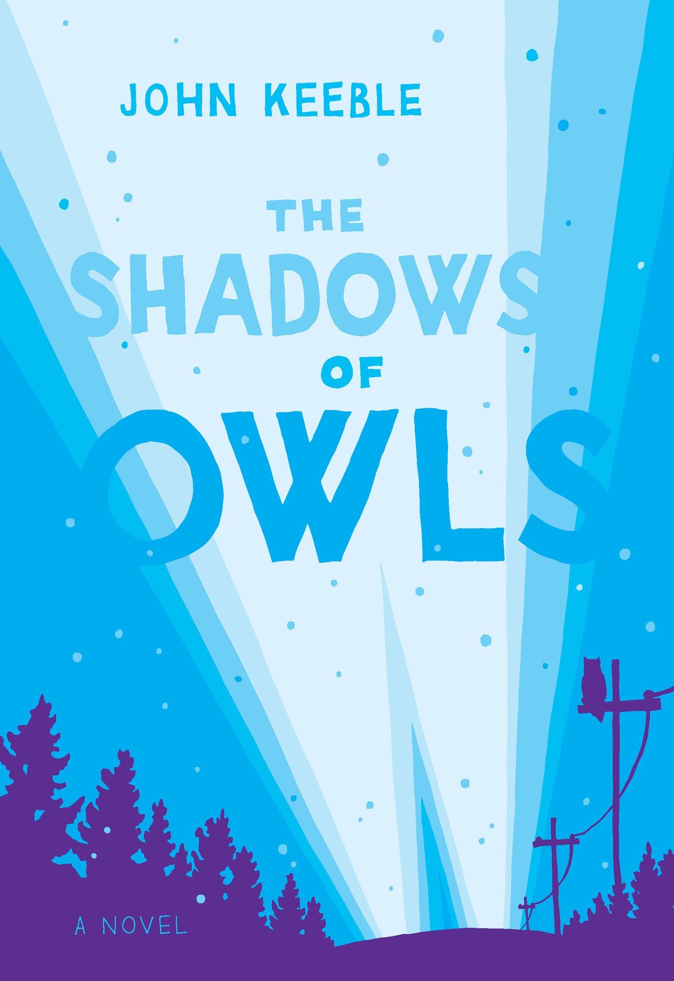 The Shadows of Owls: A Novel