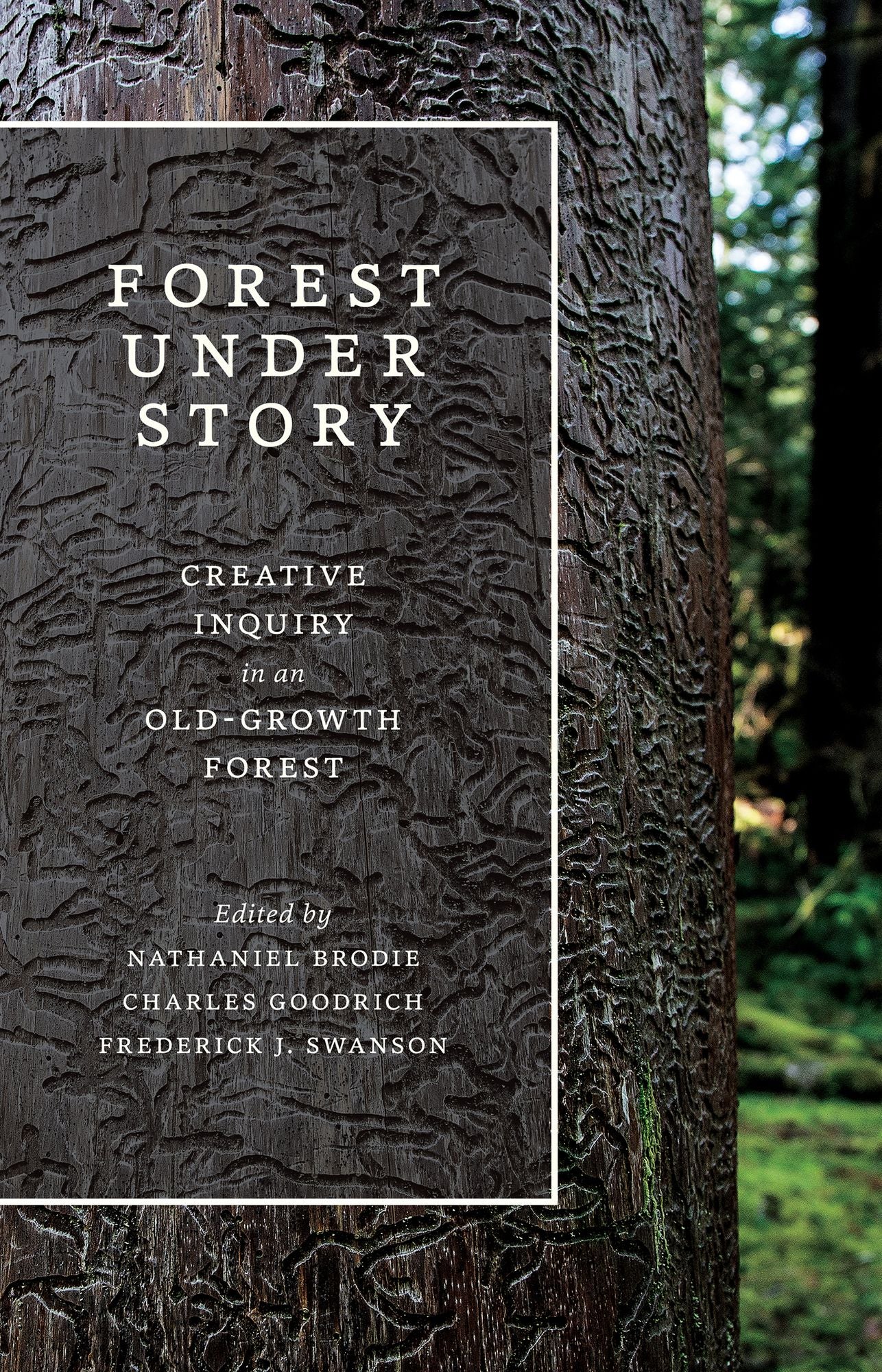 Forest Under Story: Creative Inquiry in an Old-Growth Forest