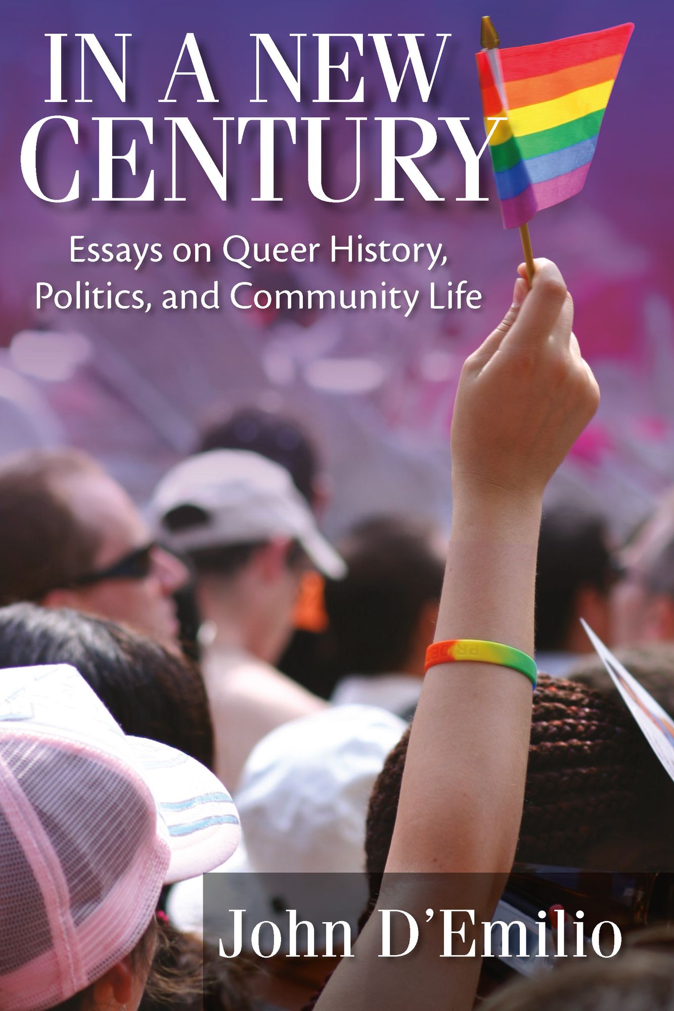 In a New Century: Essays on Queer History, Politics, and Community Life