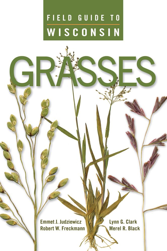 Field Guide to Wisconsin Grasses