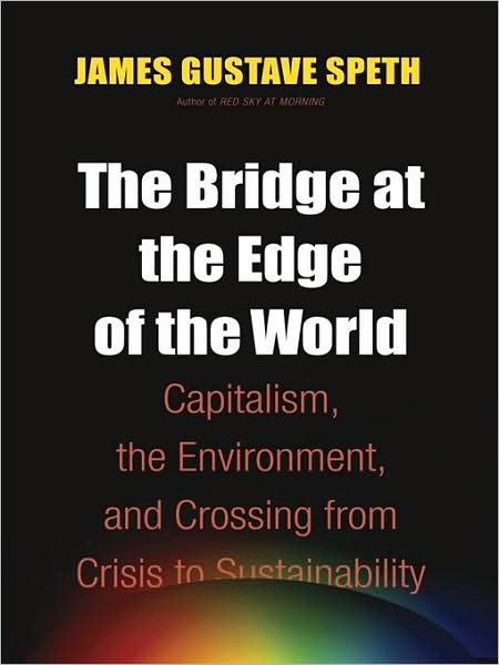 The Bridge at the End of the World: Capitalism, the Environment, and Crossing from Crisis to Sustainability
