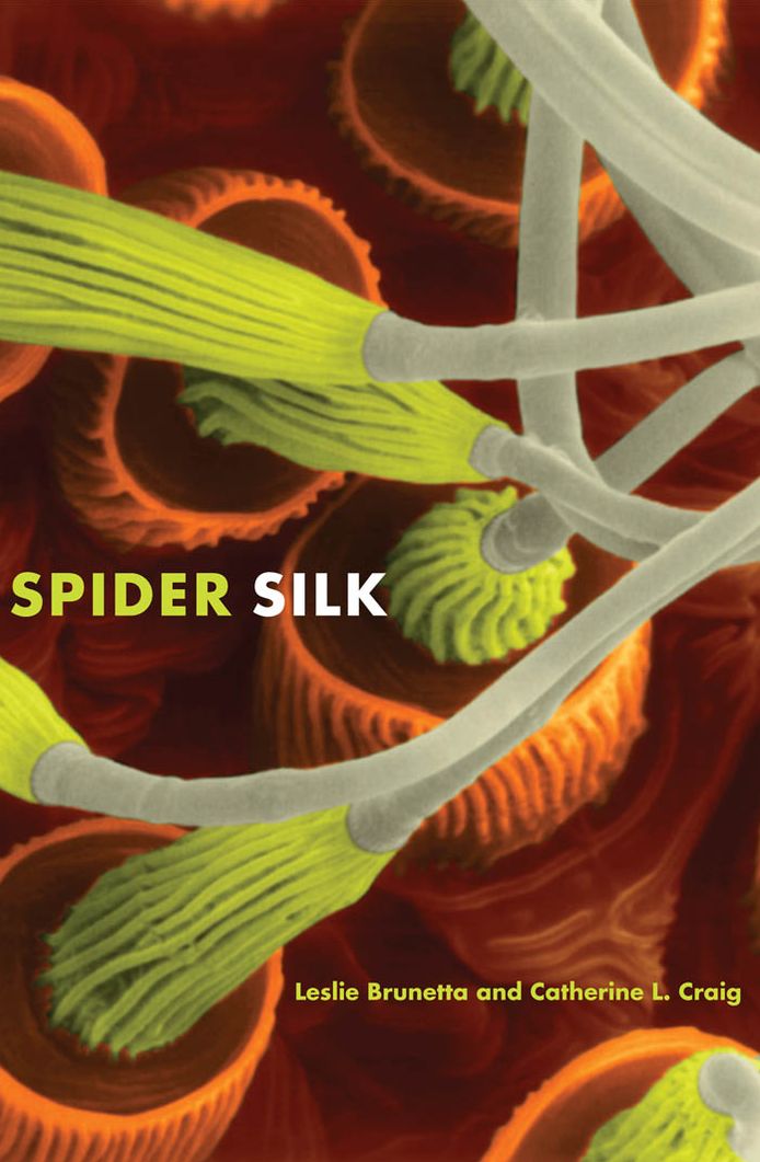 Spider Silk: Evolution and 400 Million Years of Spinning, Waiting, Snagging, and Mating