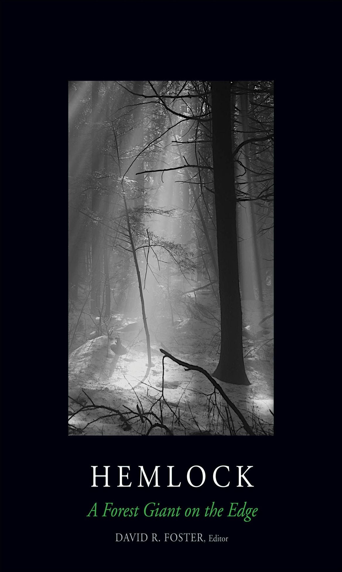 Hemlock: A Forest Giant on the Edge