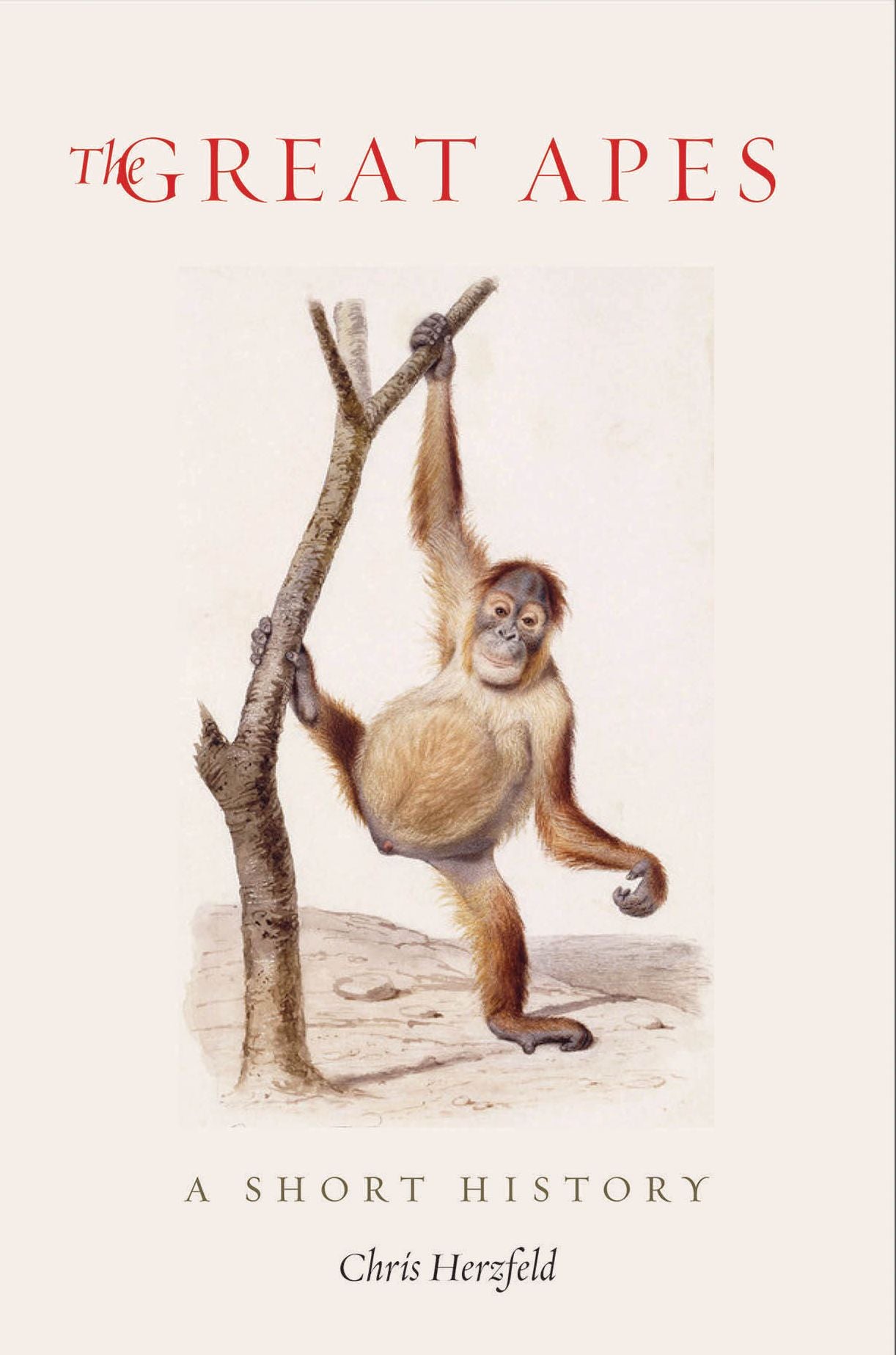 The Great Apes: A Short History
