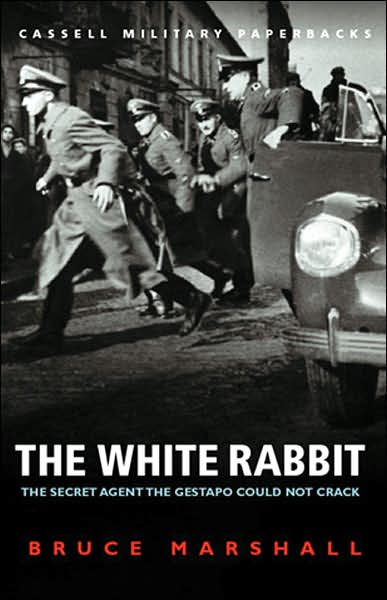 White Rabbit: The Secret Agent the Gestapo Could Not Crack