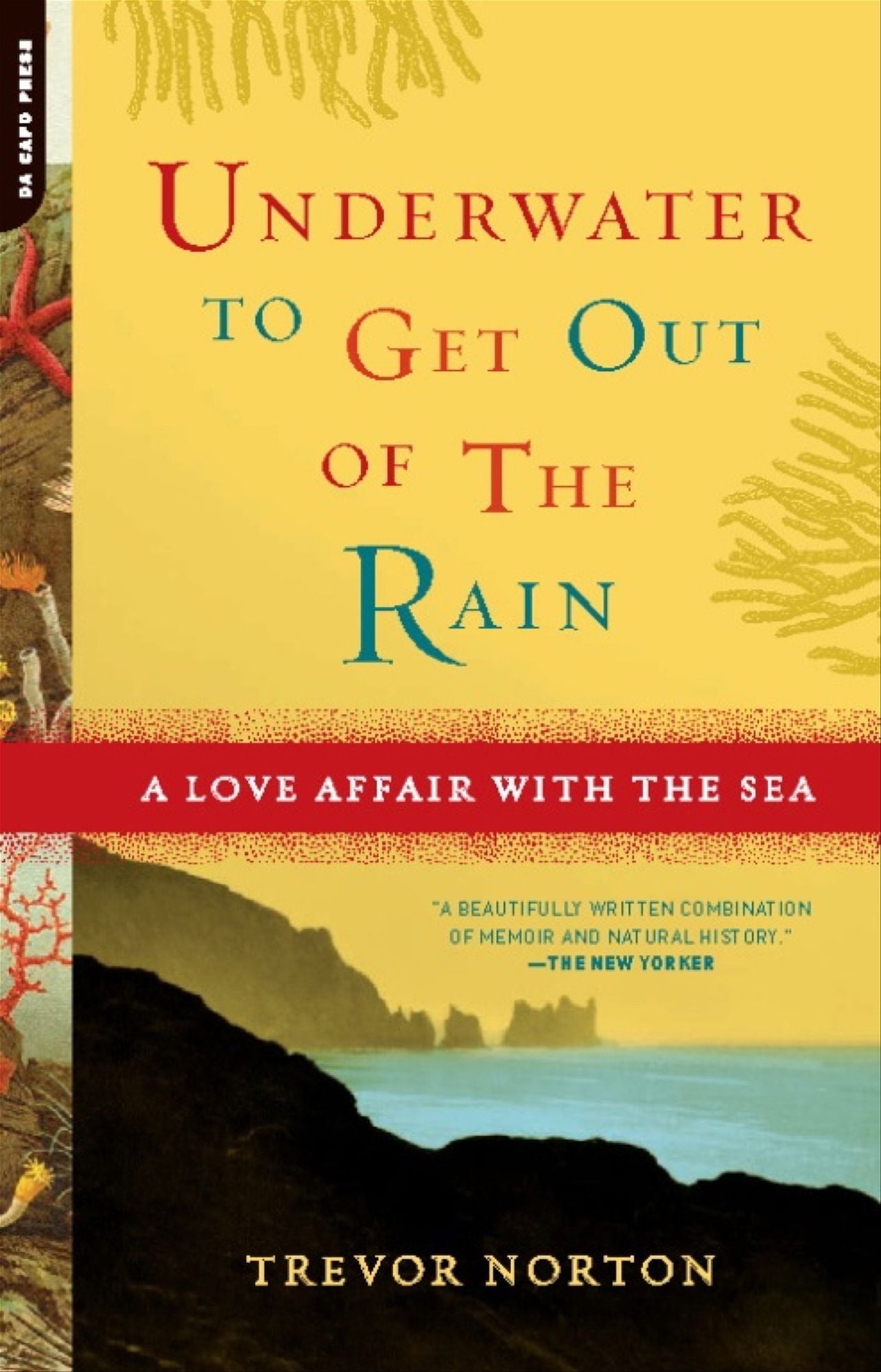 Underwater to Get Out of the Rain: A Love Affair With the Sea