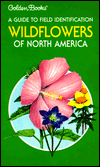 Wildflowers of North America