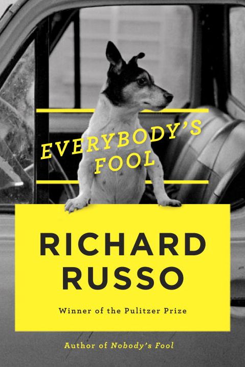 Everybody's Fool: A novel