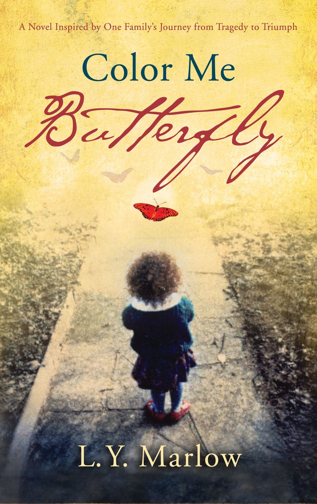 Color Me Butterfly Inspired by One Family's Journey from Tragedy to Triumph