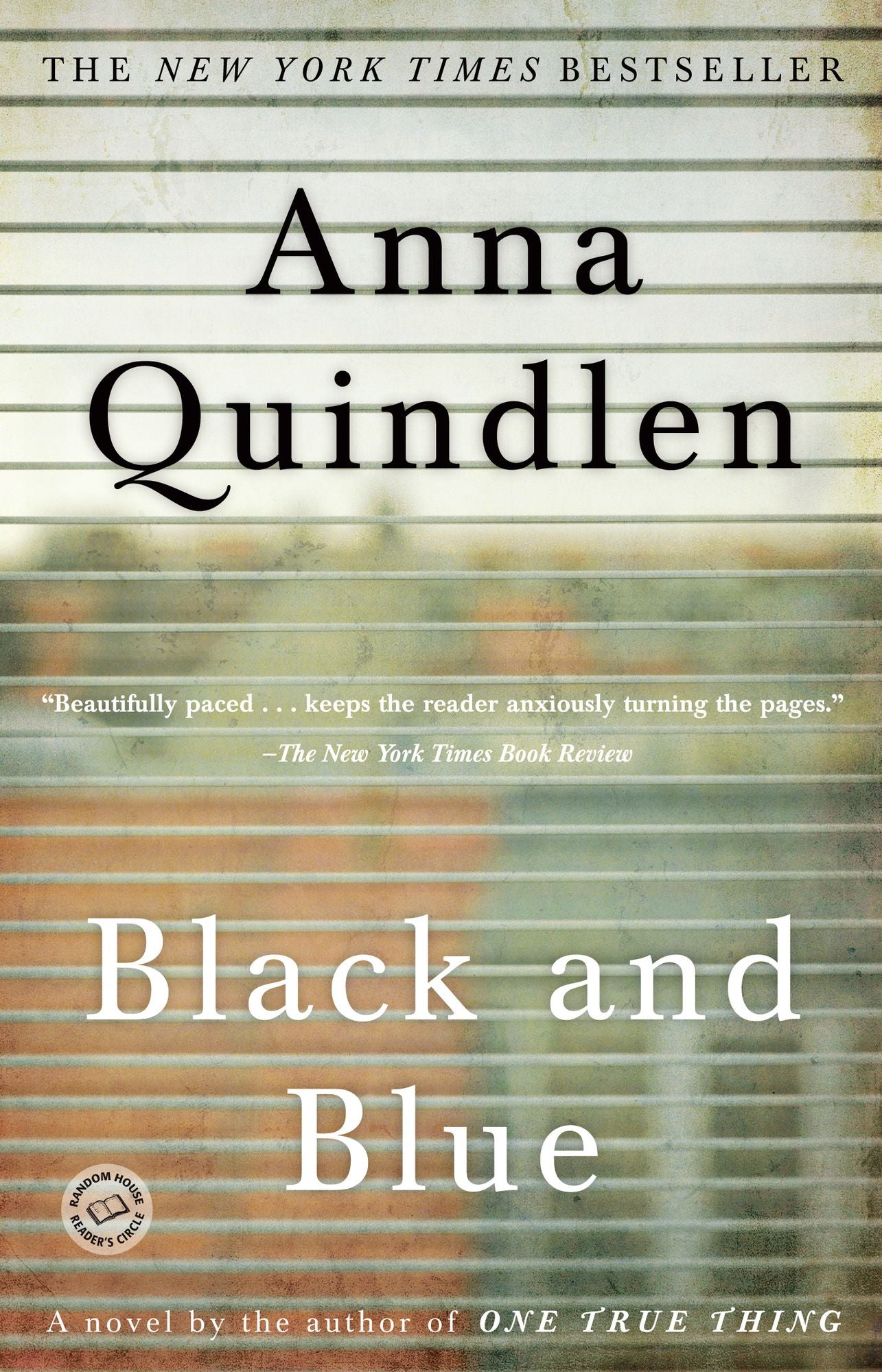Black and Blue: A Novel