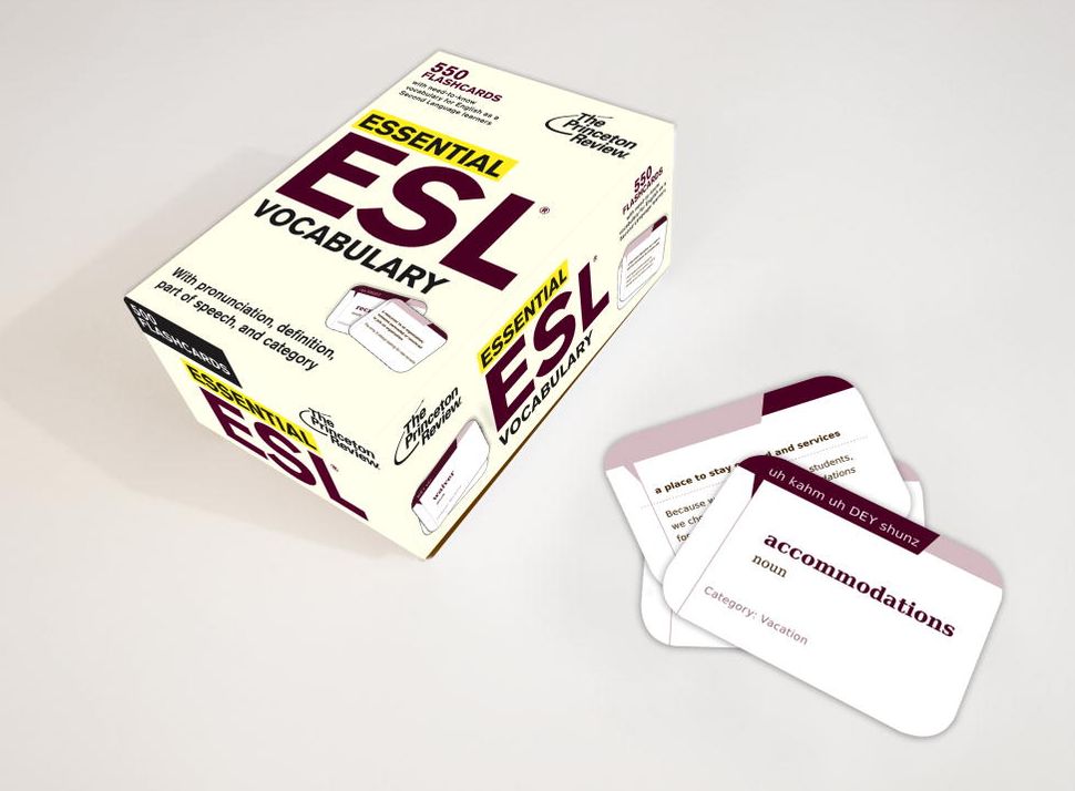 Essential ESL Vocabulary (Flashcards)