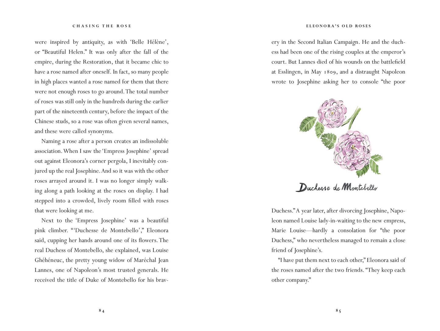 Chasing the Rose: An Adventure in the Venetian Countryside