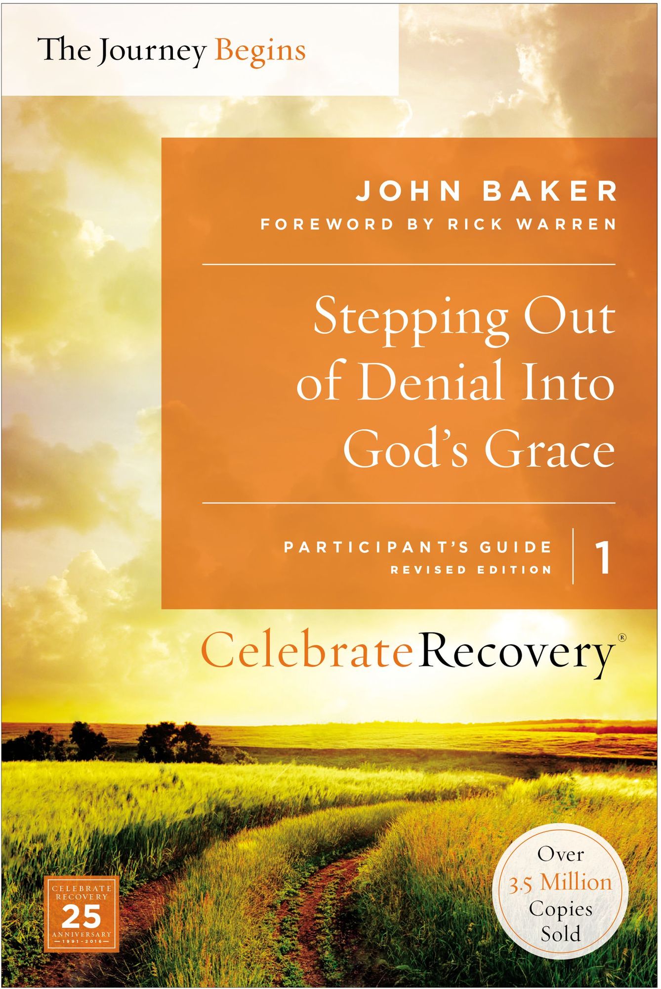 Stepping Out of Denial Into God's Grace, Volume 1: A Recovery Program Based on Eight Principles from the Beatitudes