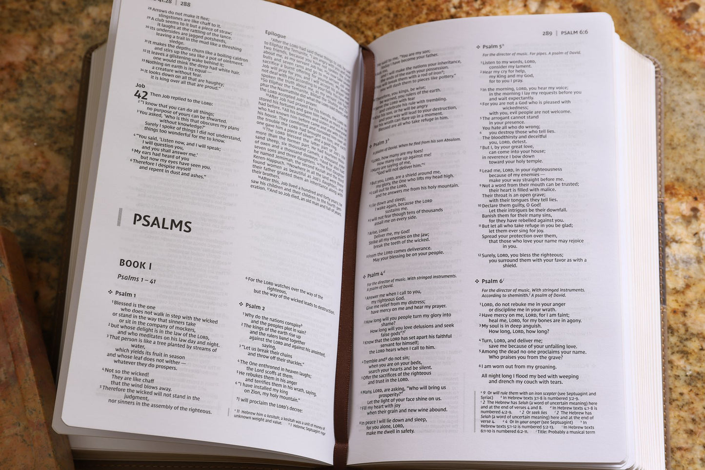 Niv, Premium Gift Bible, Leathersoft, Brown, Red Letter Edition, Comfort Print