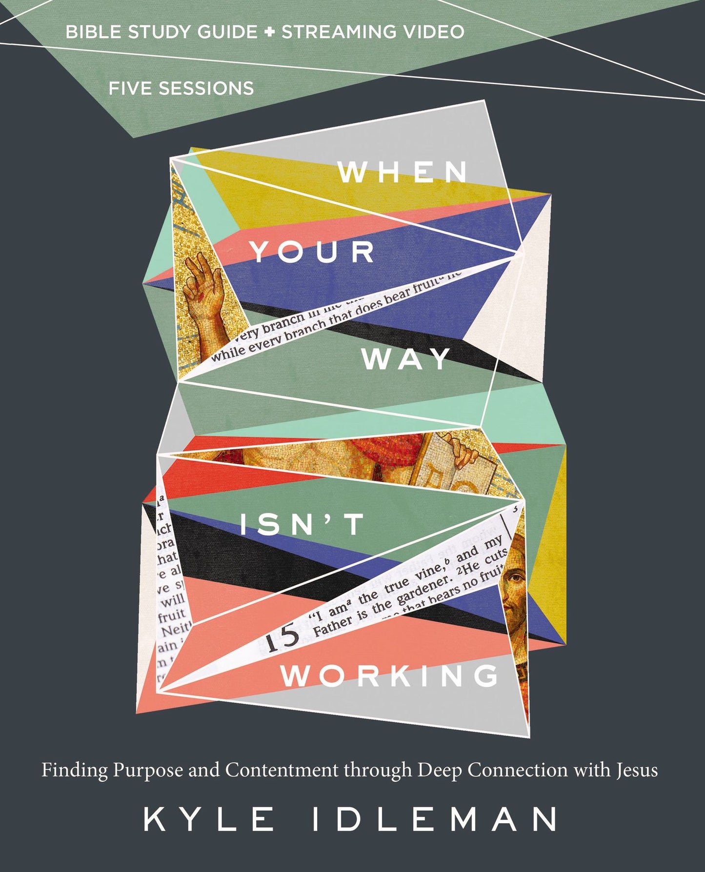 When Your Way Isn't Working Bible Study Guide Plus Streaming Video: Finding Purpose and Contentment Through Deep Connection with Jesus