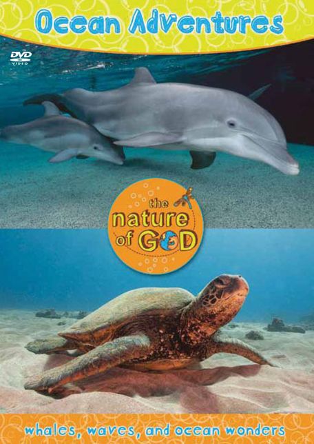 Ocean Adventures, Volume 1: Whales, Waves, and Ocean Wonders