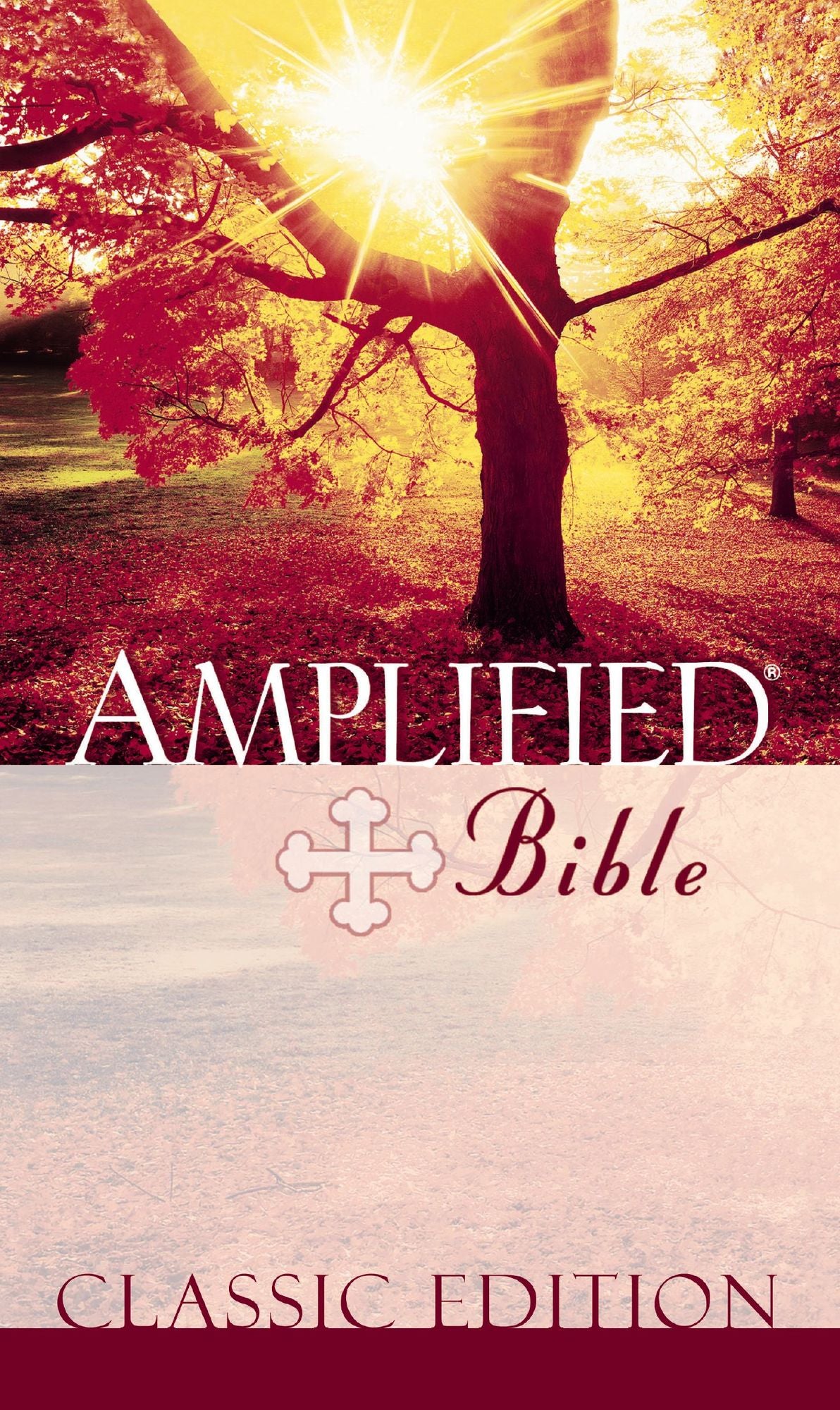 Amplified Bible, eBook