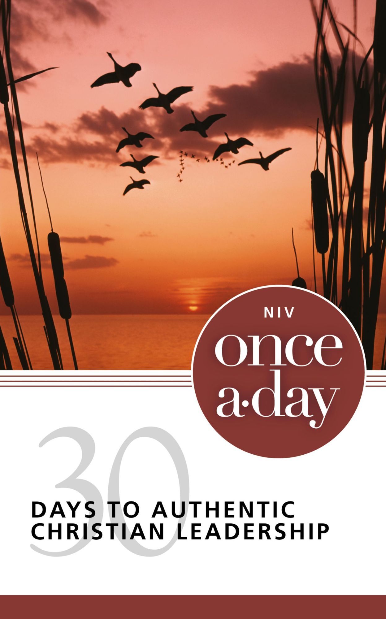 NIV, Once-A-Day: 30 Days to Authentic Christian Leadership, eBook
