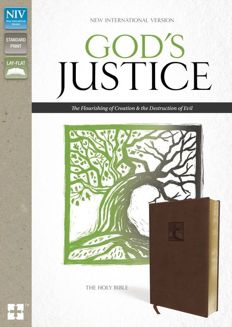 God's Justice-NIV: The Flourishing of Creation and the Destruction of Evil