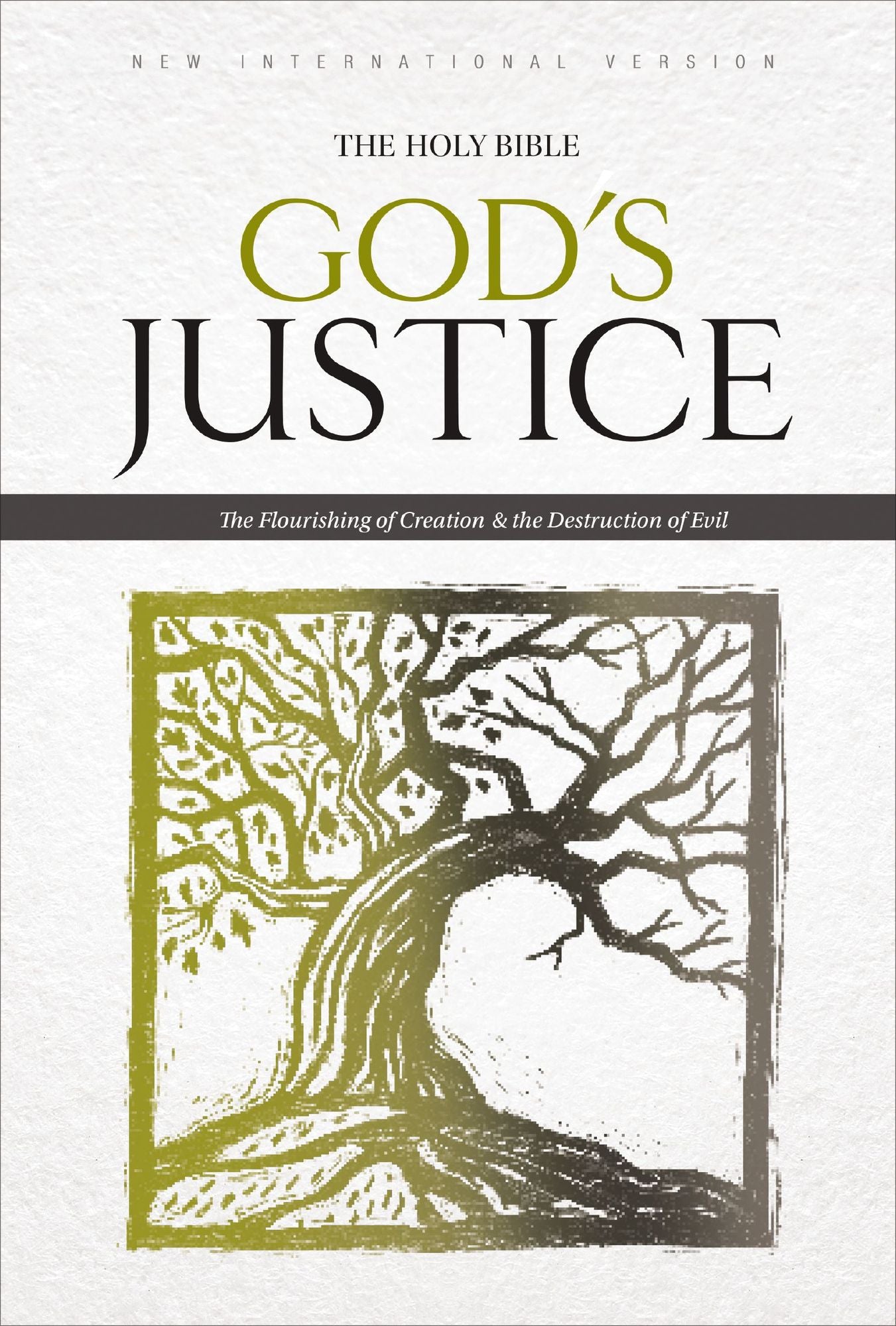 NIV, God's Justice: The Holy Bible: The Flourishing of Creation and the Destruction of Evil