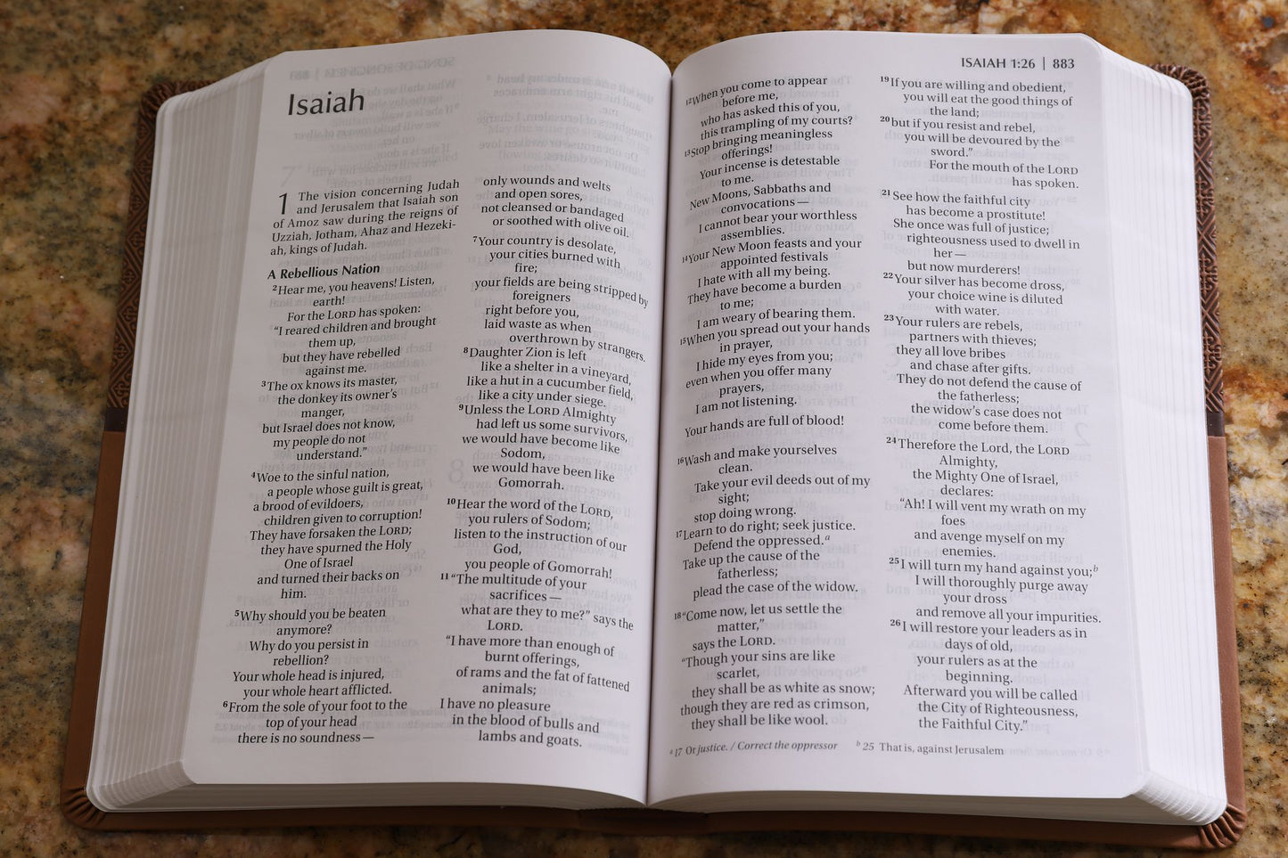 NIV Readeasy Bible