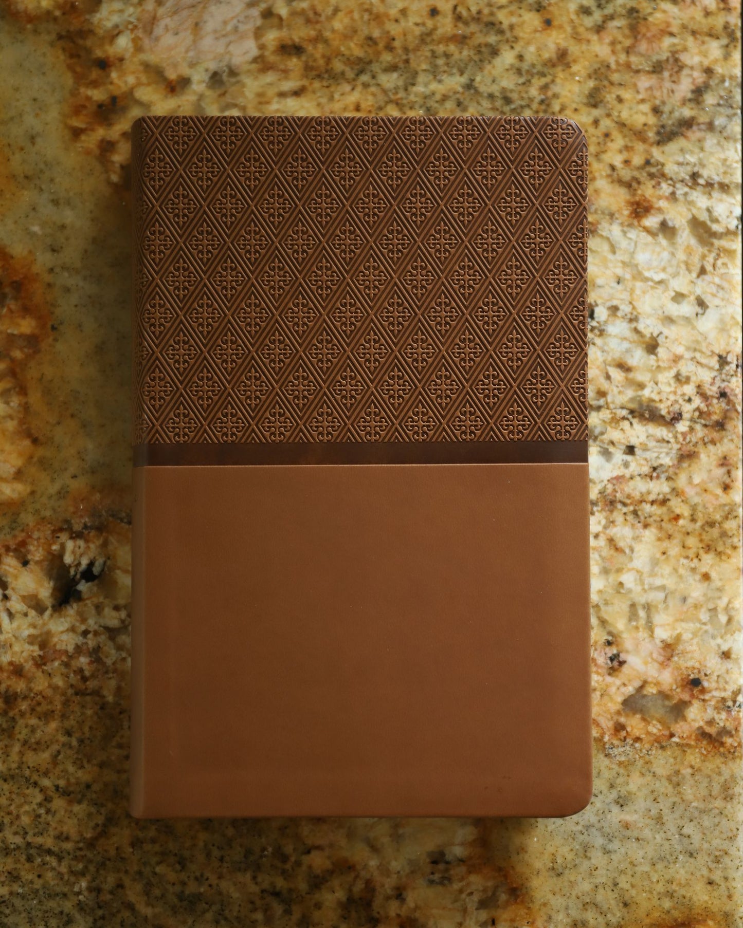 NIV Readeasy Bible