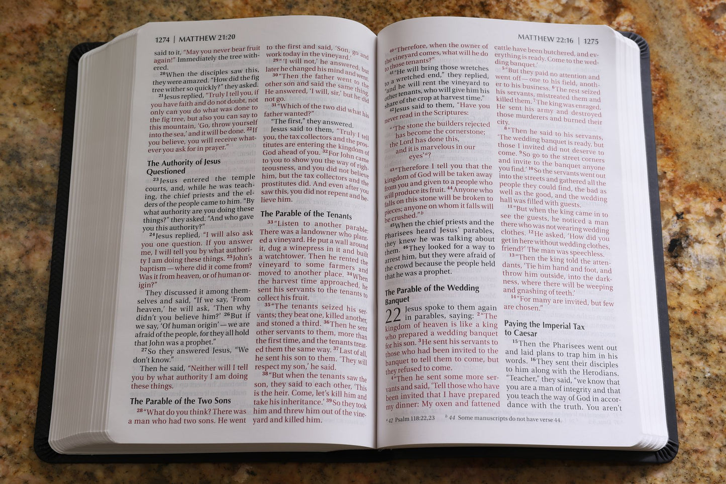 Readeasy Bible-NIV