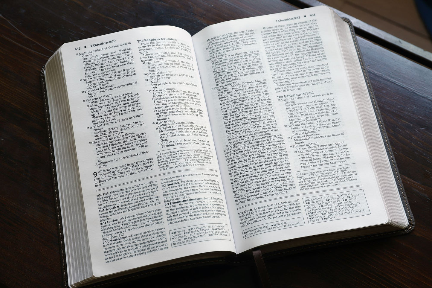NIV Foundation Study Bible