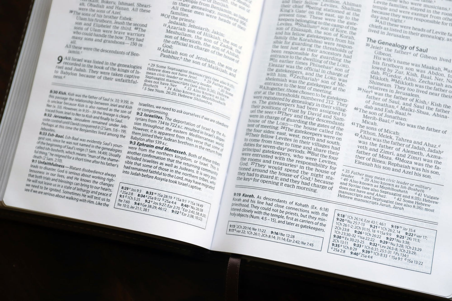 NIV Foundation Study Bible