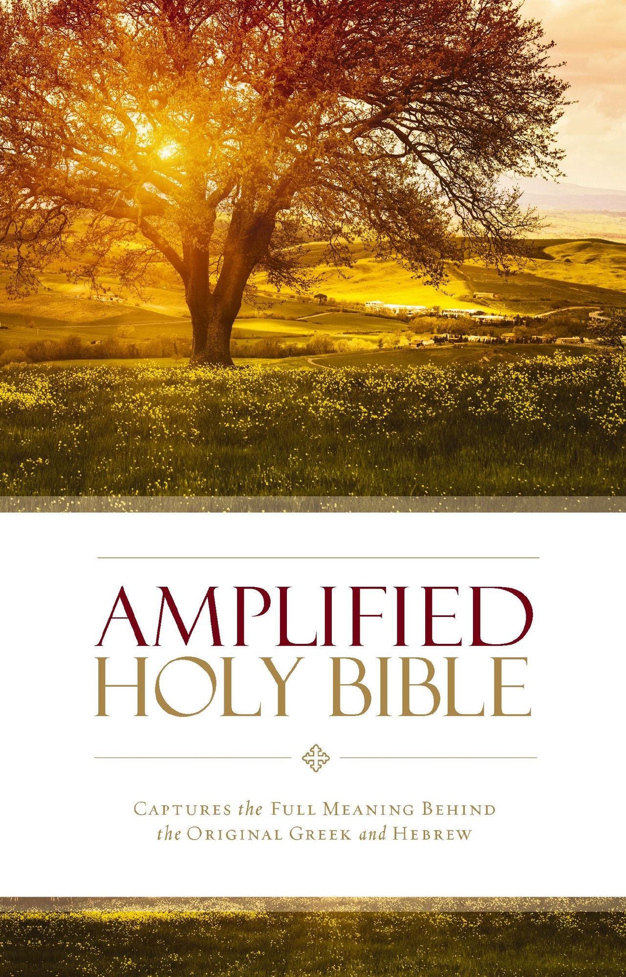 Amplified Holy Bible (2015 Text): Captures the Full Meaning Behind the Original Greek and Hebrew