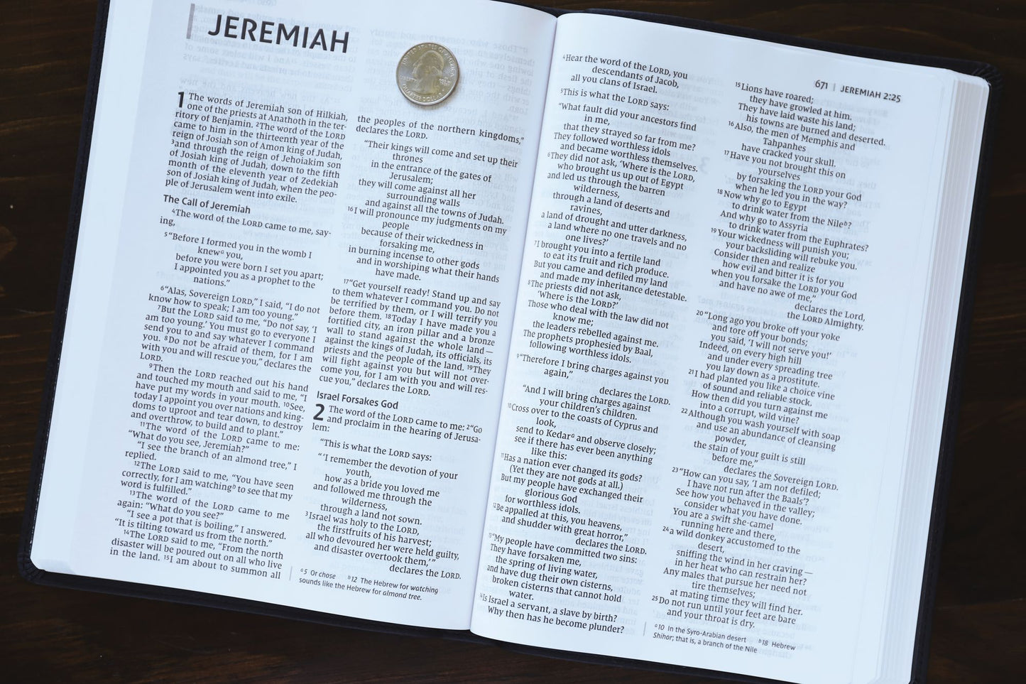 NIV, Value Thinline Bible, Large Print, Imitation Leather, Gray/Black