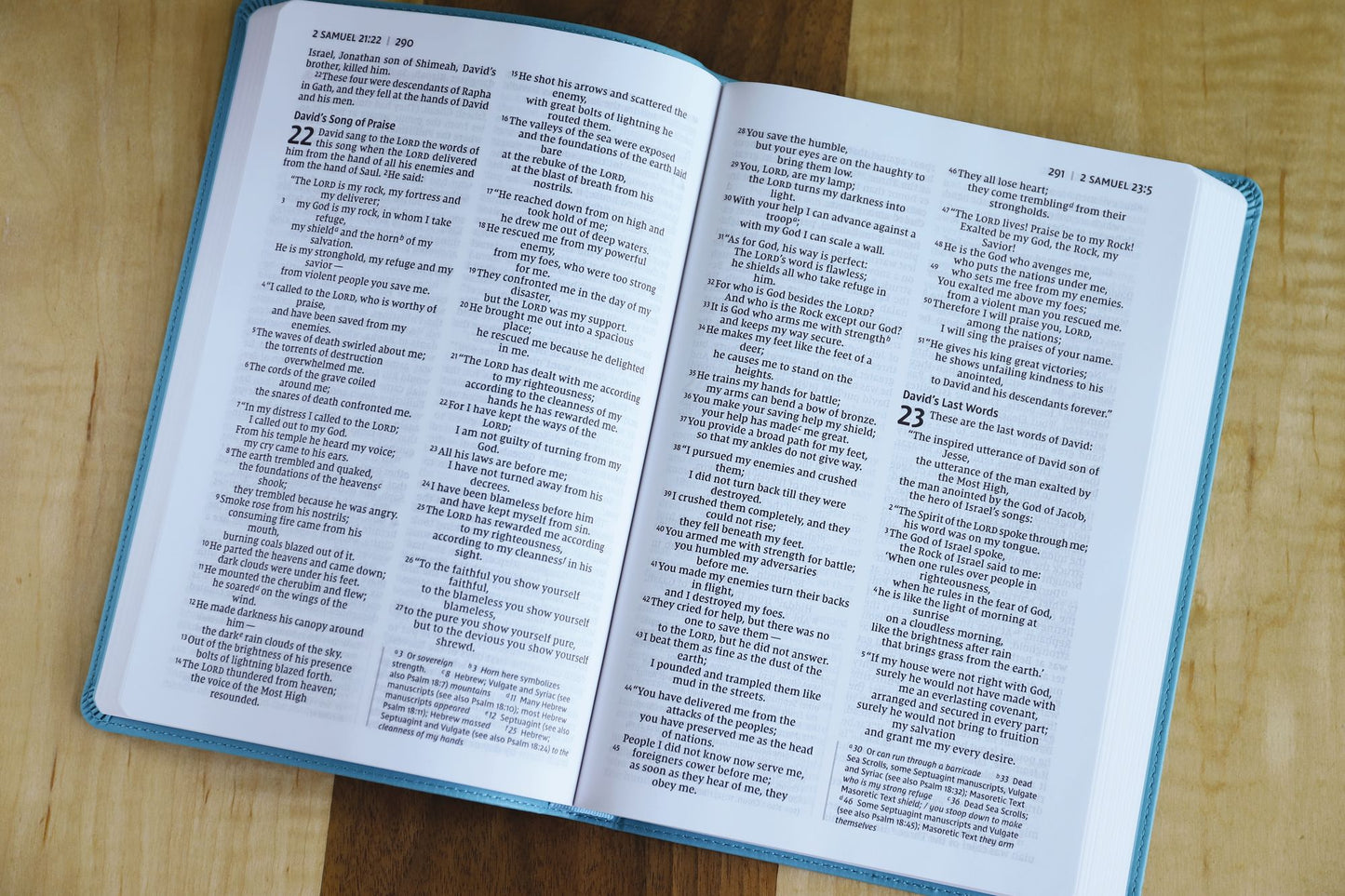 NIV, Value Thinline Bible, Large Print, Imitation Leather, Blue