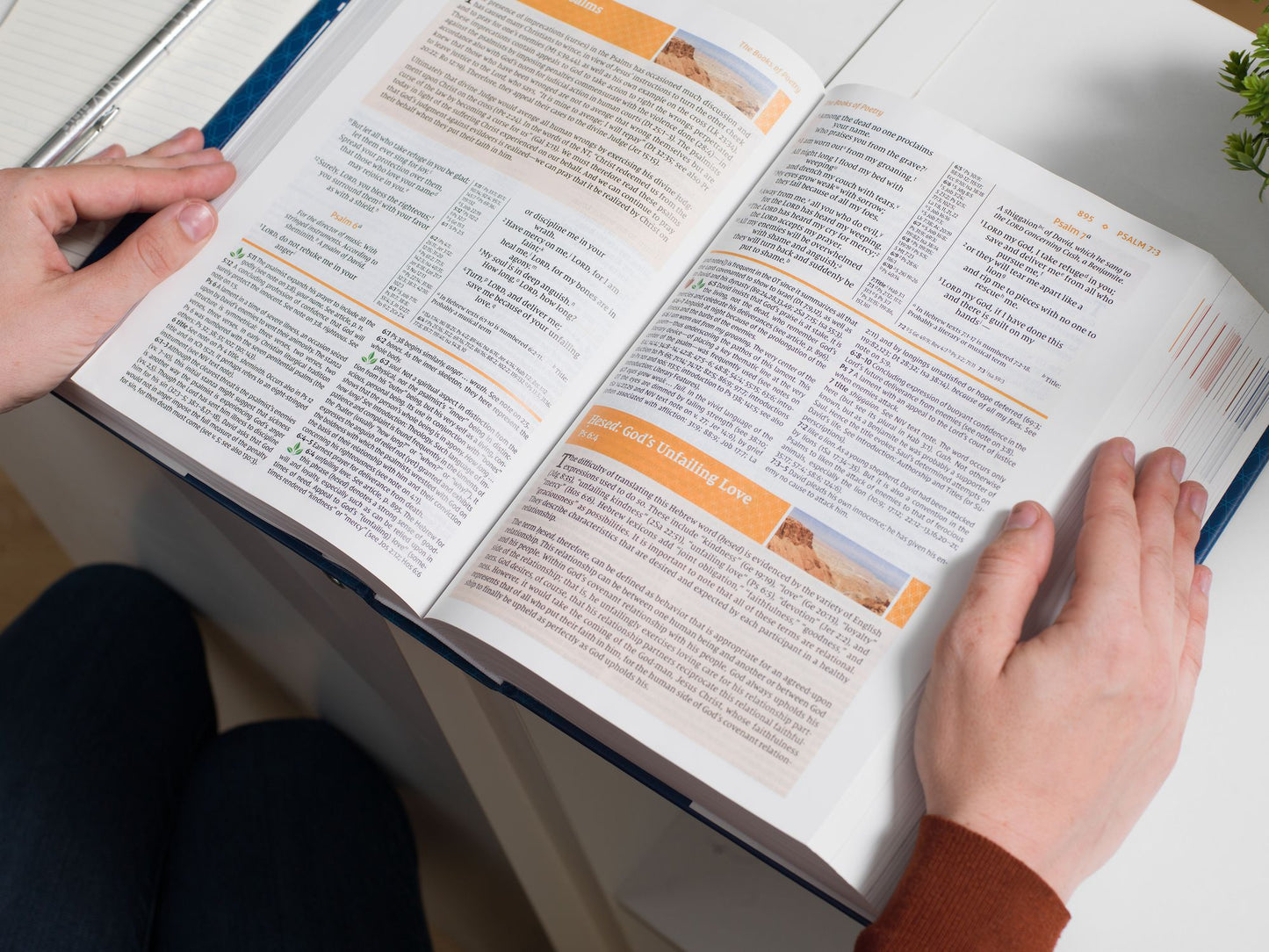 NIV Study Bible, Fully Revised Edition, Hardcover, Red Letter, Comfort Print