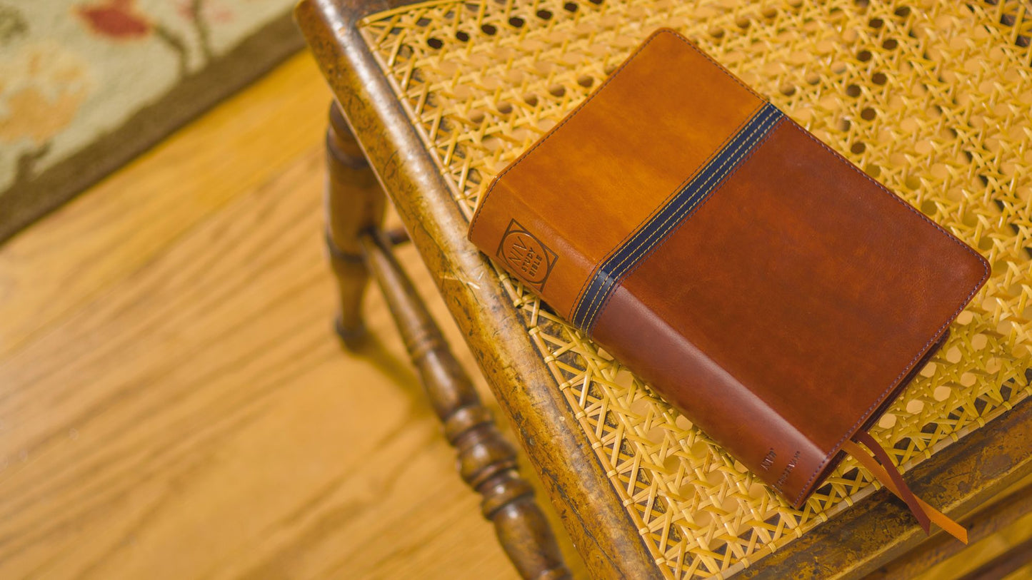 NIV Study Bible, Fully Revised Edition, Personal Size, Leathersoft, Brown/Blue, Red Letter, Comfort Print