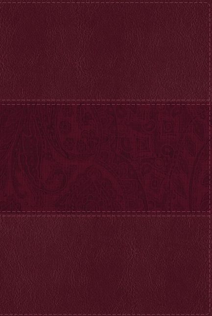 NIV Study Bible, Fully Revised Edition, Large Print, Leathersoft, Burgundy, Red Letter, Thumb Indexed, Comfort Print