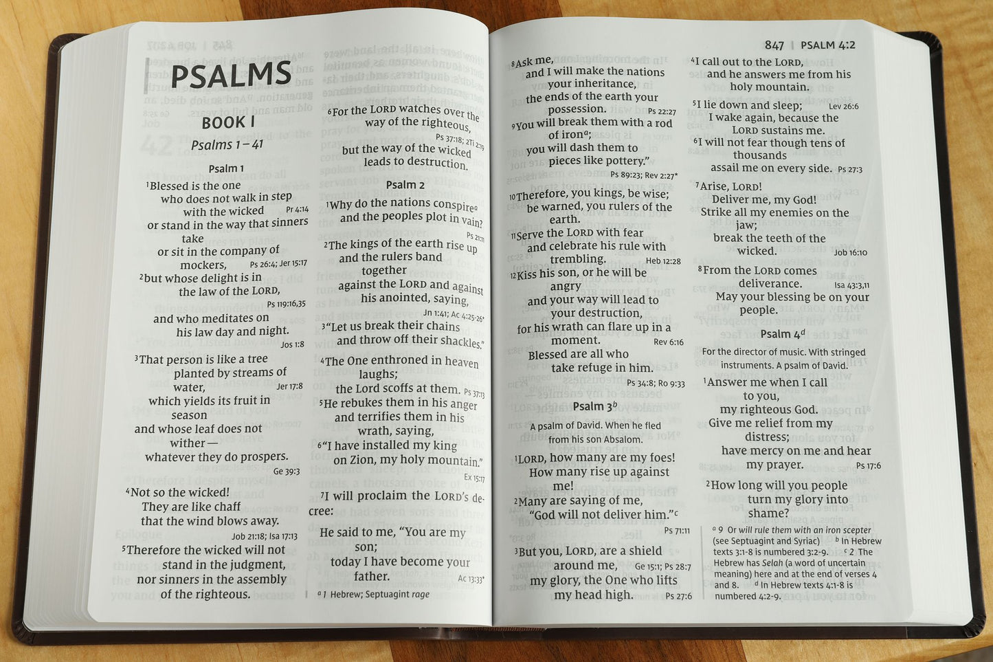 NIV, Super Giant Print Reference Bible, Imitation Leather, Brown, Red Letter Edition