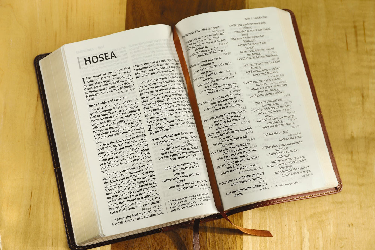 NIV, Personal Size Reference Bible, Large Print, Imitation Leather, Brown, Red Letter Edition, Comfort Print