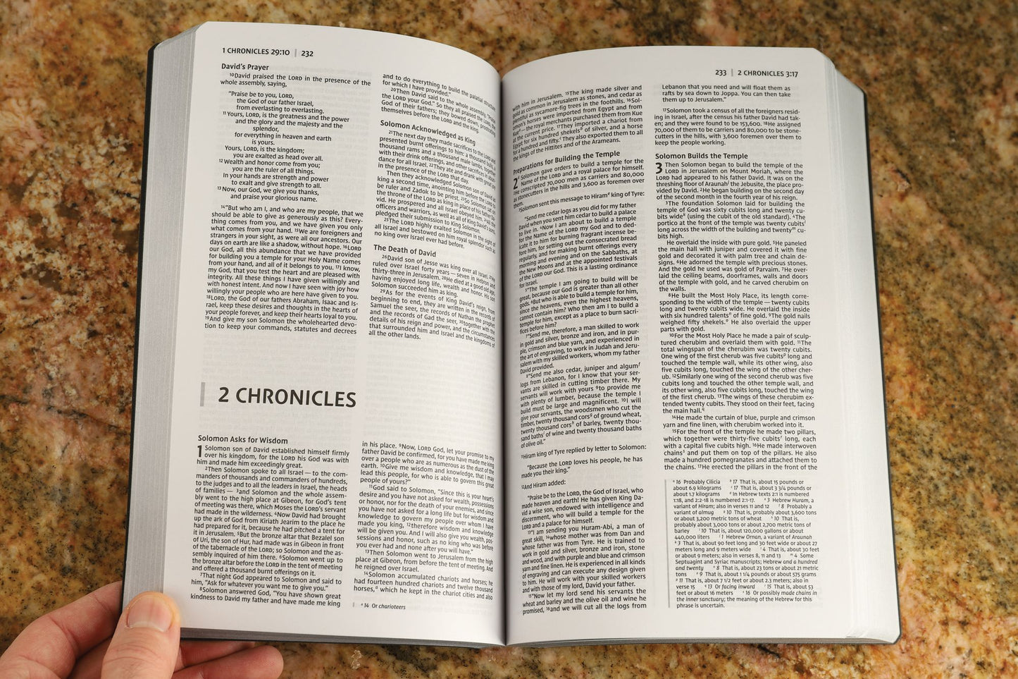 NIV, Holy Bible, Soft Touch Edition, Leathersoft, Black, Comfort Print