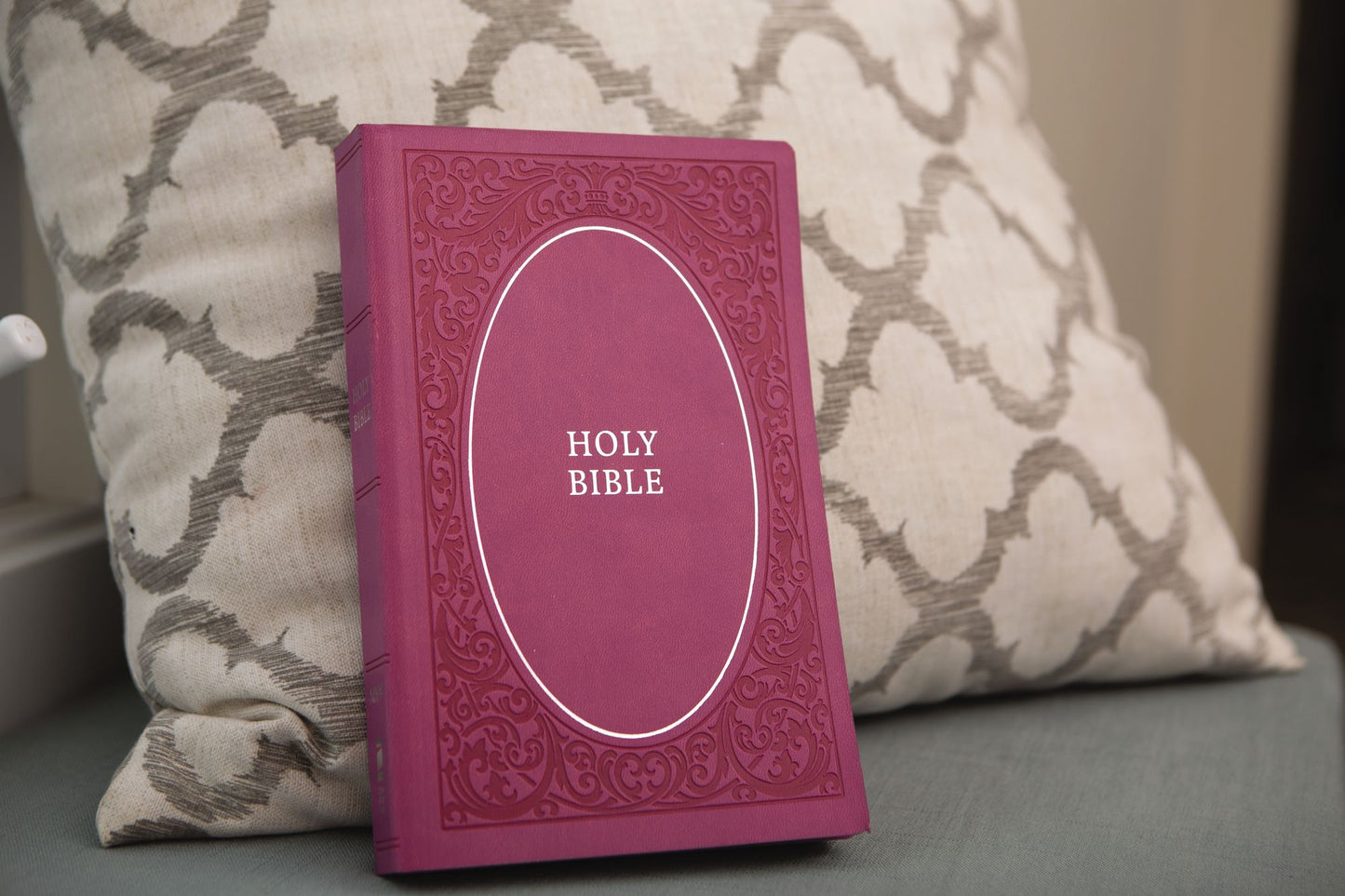 NIV, Holy Bible, Soft Touch Edition, Imitation Leather, Pink, Comfort Print