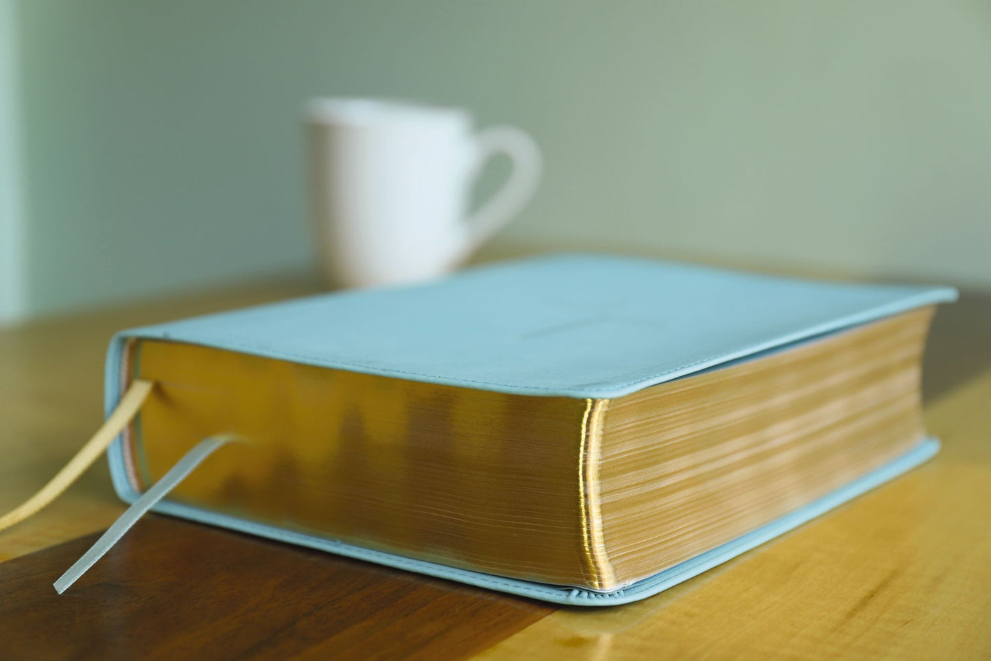 The Jesus Bible, NIV Edition, Leathersoft, Blue, Comfort Print