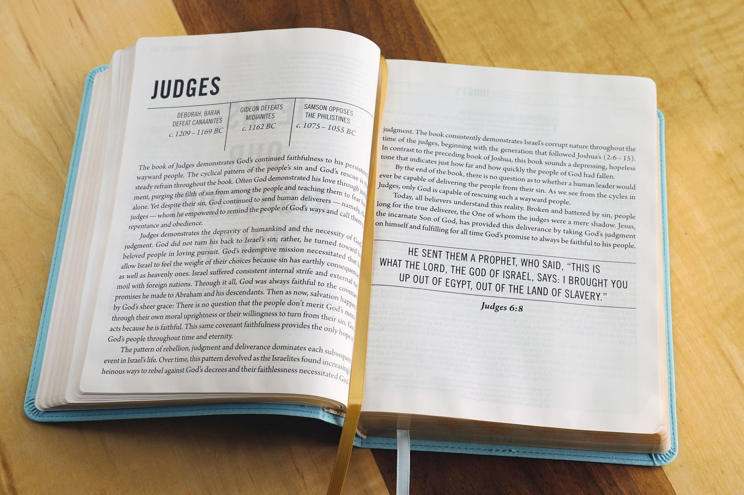 The Jesus Bible, NIV Edition, Leathersoft, Blue, Comfort Print