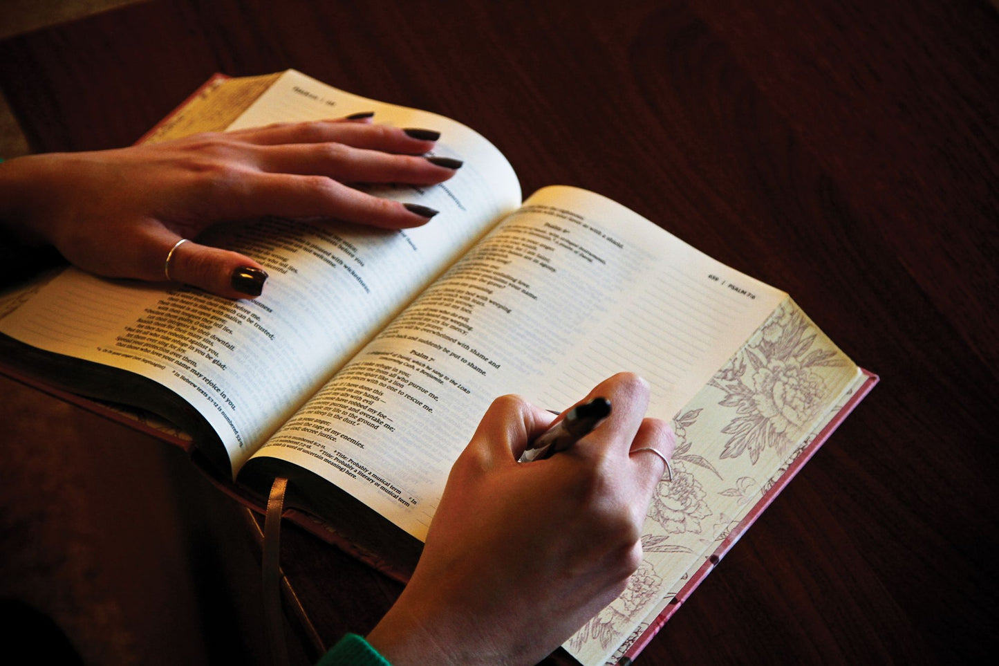 Niv, Artisan Collection Bible, Cloth Over Board, Pink Floral, Designed Edges Under Gilding, Red Letter Edition, Comfort Print